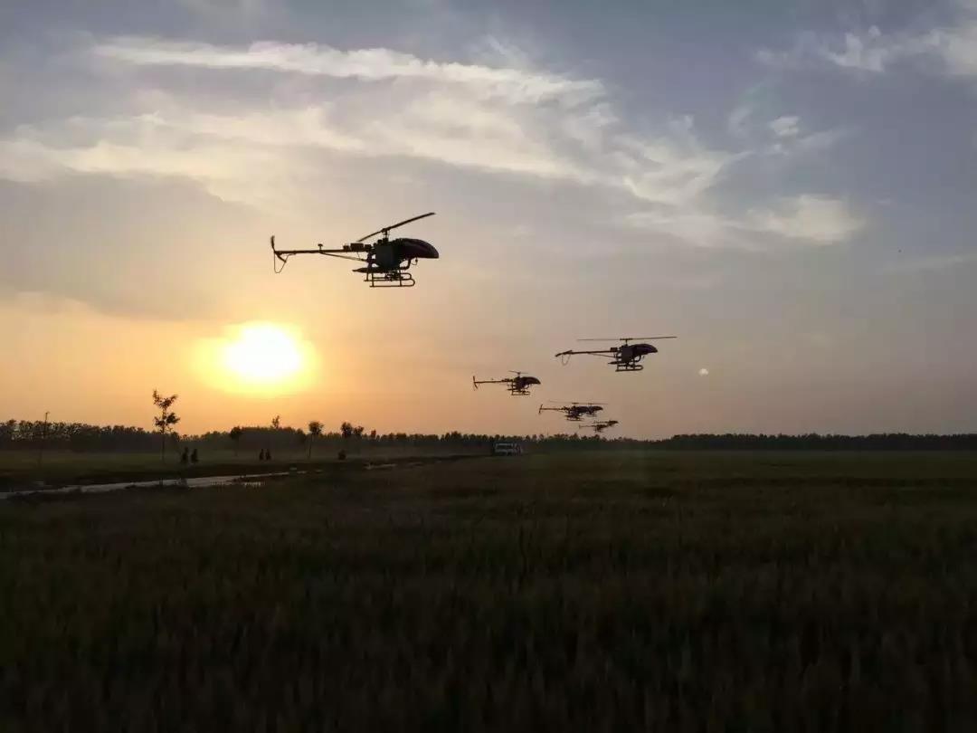 15310974053760423x2V.jpg 微信图片_20180709084734.jpg