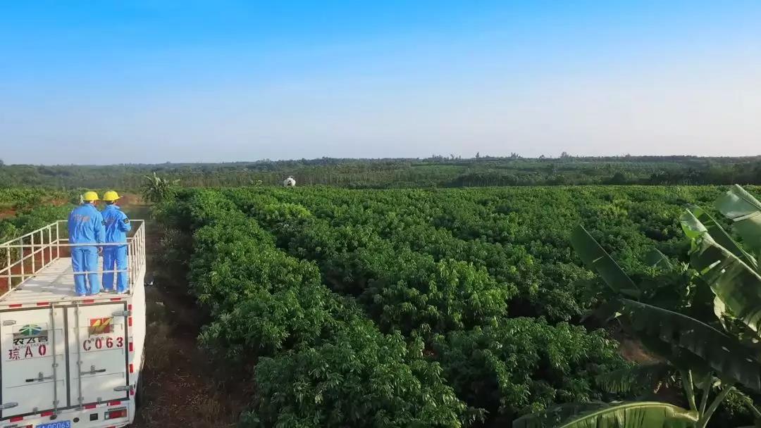 15310974698150607ppq.jpg 微信图片_20180709084745.jpg