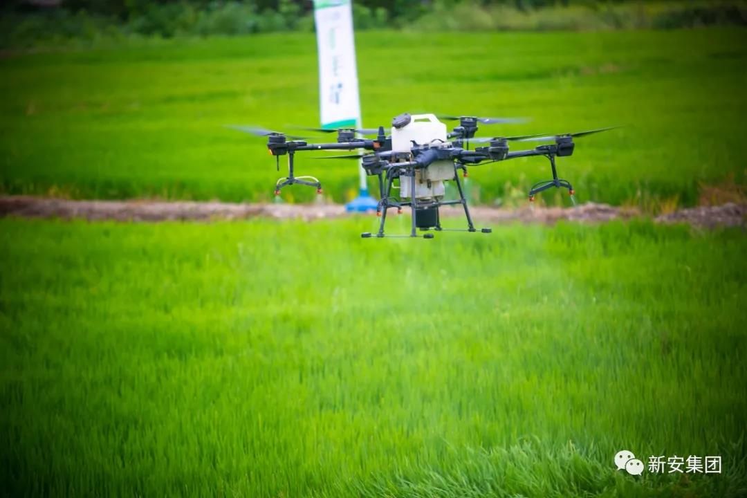 1602053975777920fJy5.jpg 1602053975777920fJy5.jpg